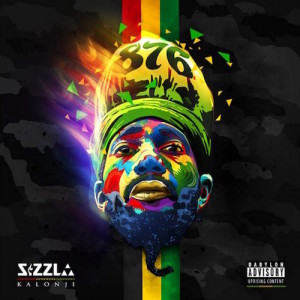 876-sizzla